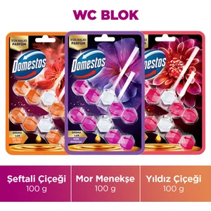 Aroma Lux Tuvalet Bloğu Şeftali Çiçeği 100 gr x1+ Yıldız Çiçeği 100 gr x1 + Mor Menekşe 100 gr x1
