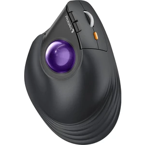 ProtoArc EM05 NL Mor Trackball Kablosuz Ergonomik Dikey Mouse (CP015533)