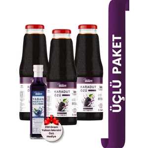 Havran Kocaseyit 3 Adet Karadut Özü 1400 gr + Yaban Mersin Özü 350 gr