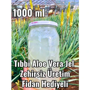 Aloe Vera Jel Doğal 1000 ml Ilaçsız Üretim