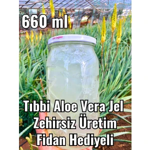aloe vera jel, doğal alovera jel, cam kavanozda 660 ml, fidan hediyeli