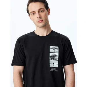 Regular Fit Pamuklu Baskılı Kısa Kollu Bisiklet Yaka Tişört