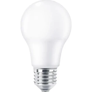 Led Value 9 Watt Avize Mum Abajur Lambader Ampulü