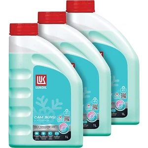 Kışlık -10 Camsuyu Bubblegum 3 X 1 LT