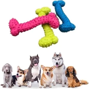 OMB Store Tiny Kemik Oyuncağı Tırtıklı Yüzey Küçük Kemik Plastik Köpek Oyuncağı