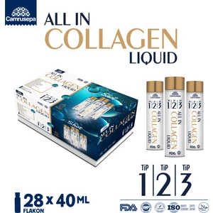 All In Collagen Lıquıd Tip 1-2-3 (28 Flakon) Likid Kolajen