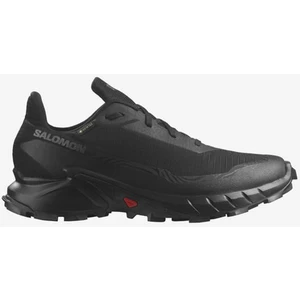 Alphacross 5 Gore-Tex Erkek Koşu Ayakkabısı - Siyah
