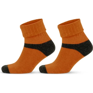 2'li Alpaka Yünlü Termal Kışlık Kadın Çorabı 2056