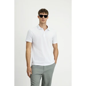 Polo Yaka Regular Fit Nakışlı Pamuklu Tişört
