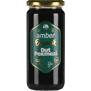 Organik Dut Pekmezi 620 gr