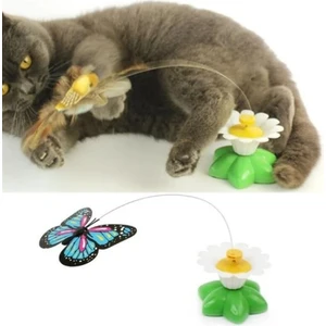 Pilli Hareketli Dönen Kelebek Kedi Oyuncağı Catch Butterfly