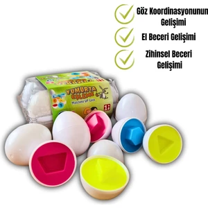 Geometrik Yumurta Eşleme Oyunu Kutulu Renkli Yumurtalar (6 Lı)