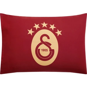 Lisanslı Galatasaray 25.şampiyonluk Tekli Yastık Kılıfı