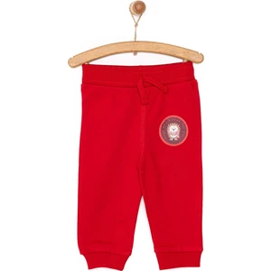 Hellobaby Basic Kirpi Desenli Az Şardonlu Eşofman Alt Unisex