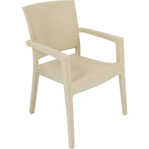 Zeus Rattan Koltuk  (6 Adet)