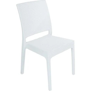 Elit Rattan Sandalye (2 adet) Beyaz