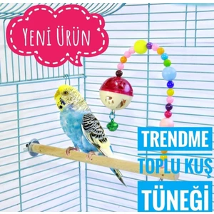 Zilli Boncuklu Toplu Kuş Tüneği Oyuncak Muhabbet, Sevda, Cennet, Finch V.b.