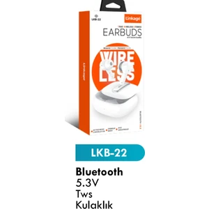 Aydoğan Ticaret44  LKB22 Tws Wireless 5.3 V Bluetooth Wireless