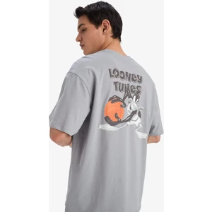 %100 Pamuk Looney Tunes Boxy Fit Bisiklet Yaka Sırt Baskılı Kısa Kollu Tişört E9293AX25AU