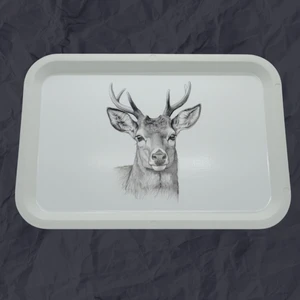 Hayvan Desenli Dekoratif 20X30 cm Dikdörtgen Sunum ve Servis Tepsisi – Şık ve Fonksiyonel Tasarım (Rastgele Tasarım)