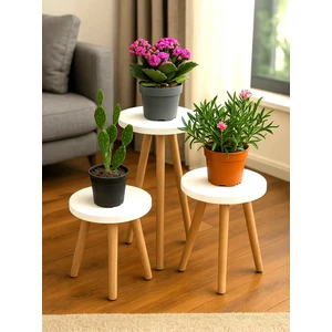 Ahşap Ayaklı 3’lü Saksılık Dekoratif Raf Çiçeklik Saksı Çiçek Standı