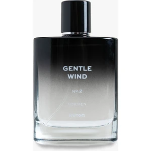 Parfüm Gentle Wind 100 ml