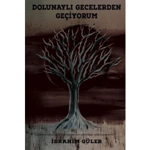 Dolunaylı Gecelerden Geçiyorum