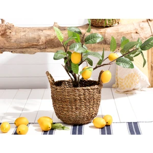 Madame Coco Dorise Orta Hasır Sepet