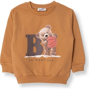 Hellobaby Ayıcık Baskılı Sweatshirt Erkek Bebek