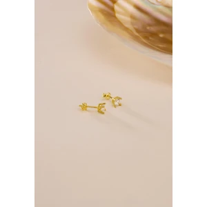 925 Ayar Gümüş Gold Kaplama 4 mm Pırlanta Montür Tektaş Küpe