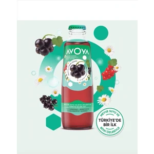 Papatya & Frenk Üzümü Aromalı 12'li Maden Suyu