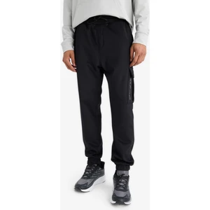 DeFactoFit Sporcu Jogger Eşofman Altı Standart Fit Beli Bağcıklı Üç Cepli D3741AX24WN