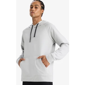 DeFactoFit Standart Fit Kapüşonlu Sporcu Sweatshirt D8014AX25SP