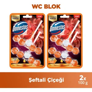 Aroma Lux Tuvalet Bloğu Şeftali Çiçeği 100 gr x 2