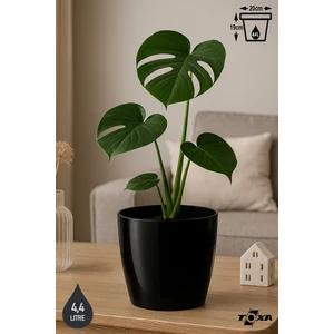 4,4 Litre 20cm Tabaksız Drenaj Izgaralı Plastik Saksı Yakut No3