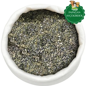 Cennet ve Sultan Papağanı Paraket Siyah Çekirdek