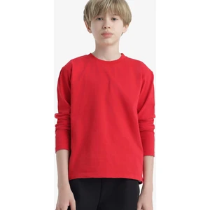 Erkek Çocuk Bisiklet Yaka Basic Düz Uzun Kollu Okul Tişörtü K1686A625AU