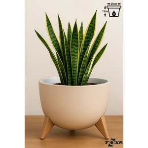 5 Litre Ayaklı Küre Saksı 25cm Delikli Süzgeçli Drenajlı Plastik Çiçek Saksısı