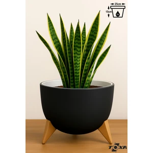 5 Litre Ayaklı Küre Saksı 25cm Delikli Süzgeçli Drenajlı Plastik Çiçek Saksısı