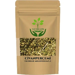 Tan Organik Civanperçemi Çayı (Achillie Millefolium L. ) 100