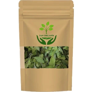 Tan Organik Sidr Sidir Arabistan Kirazı Ağacı Yaprağı 25GR