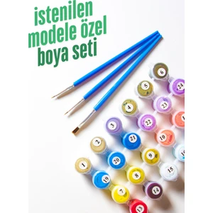 Istenilen Modele Özel Boya Seti