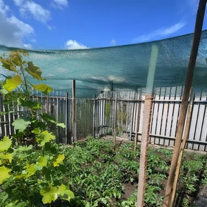 Nzl File Ambalaj Gölgelik File - Çit Filesi - 40LIK Yeşil - Düz Kenar - Çit Örtüsü - Kümes Filesi - İnşaat Filesi - Sera Filesi - Bahçe Gizleme Ağı