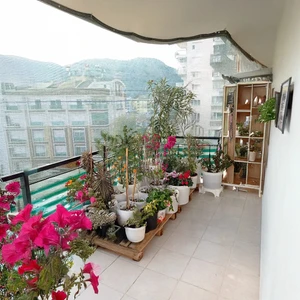 Gölgelik File Balkon Gölgelik - 55lik - 6 Metre En Yeşil - Şeritli Halkalı - Sera Filesi Tarım Filesi