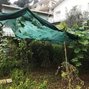 Nzl File Ambalaj Gölgelik File Gölgelik Tente - 95lik - 6 Metre En Yeşil - Düz Kenar - File Gölgelik Sera Filesi