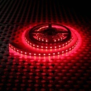 10 Çip Şerit LED Iç Mekan (Kırmızı) CT-4482 5mt