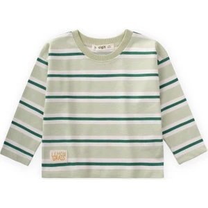 Çizgili Mevsimlik T-Shırt 1-10 Yaş Mint Haki Çizgili