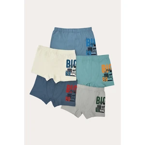 Erkek Çocuk Big 5'li Boxer