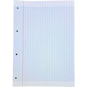 Fransız Seyes A4 Tekli Yedek Kağıt 100’LÜ Paket