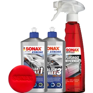 Kullanılmış Araç için Boya Koruma Seti (Standart)